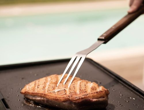 Magret de Canard à la plancha : conseils et astuces pour une cuisson parfaite